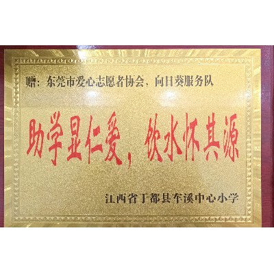 Dongguan Sunflower Student Assistance Service Team - Chexi Central Primary School in Yudu County, Jiangxi Province